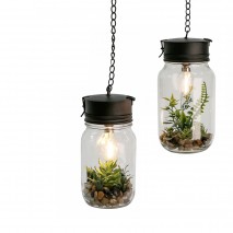 Lampe et plante décorative à suspendre