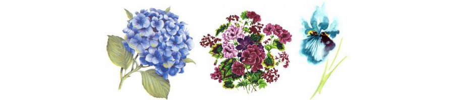 Différentes tailles de bols avec des fleurs